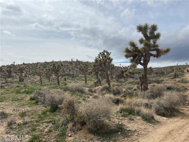 57300 Sunway, Yucca Valley, CA 92284
