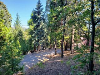 330 Castle Gate, Lake Arrowhead, CA 92352