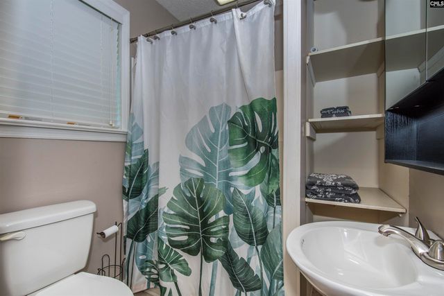 134 Bogater Road, Chapin, SC 29036
