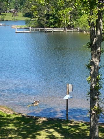 134 Bogater Road, Chapin, SC 29036