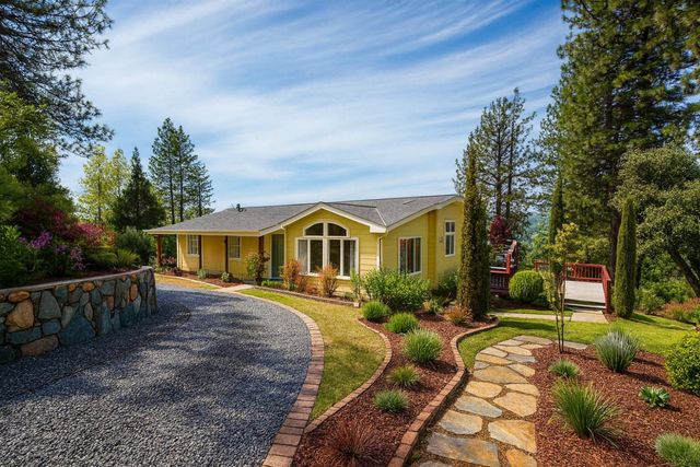 14541 Fricot City Rd, Sheep Ranch, CA 95246