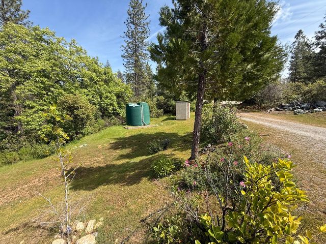 14541 Fricot City Rd, Sheep Ranch, CA 95246