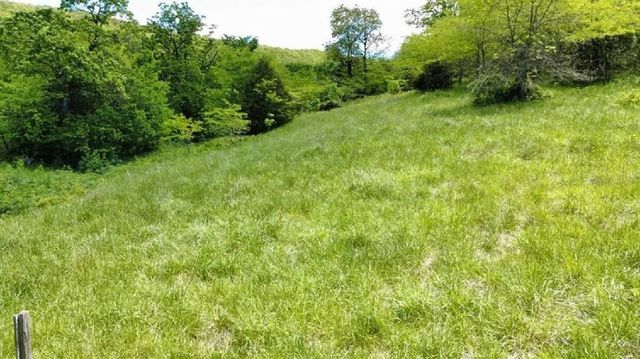 642 County Road 605, Green Forest, AR 72638