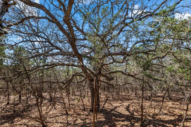 25723 Hamilton Pool RD, Round Mountain, TX 78654