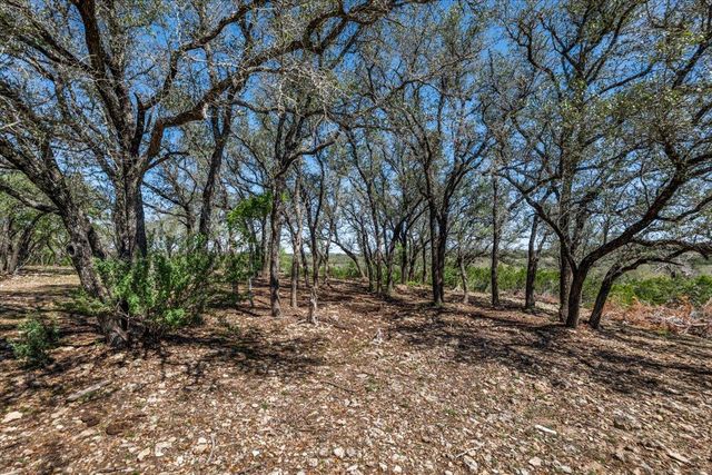 25723 Hamilton Pool RD, Round Mountain, TX 78654