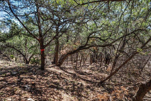 25723 Hamilton Pool RD, Round Mountain, TX 78654