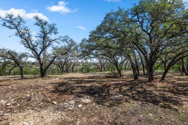 25723 Hamilton Pool RD, Round Mountain, TX 78654