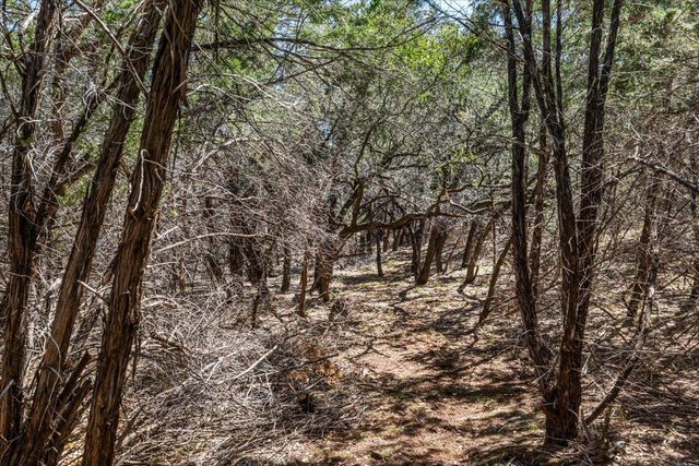 25723 Hamilton Pool RD, Round Mountain, TX 78654