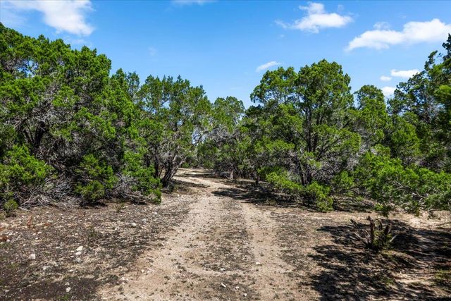 25723 Hamilton Pool RD, Round Mountain, TX 78654