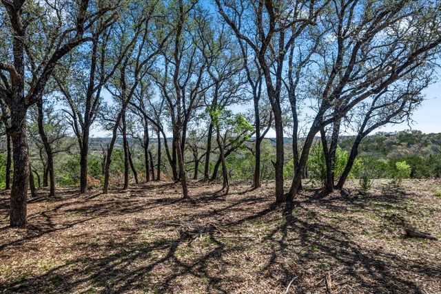 25723 Hamilton Pool RD, Round Mountain, TX 78654