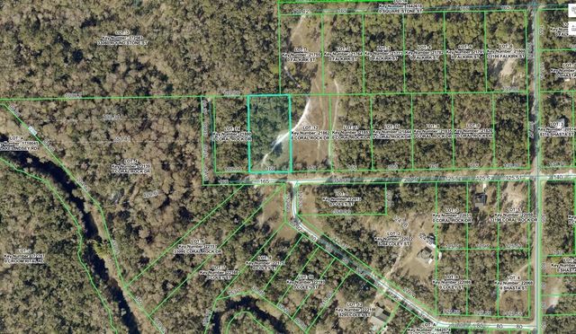 33099 CORAL ROCK DRIVE, Webster, FL 33597