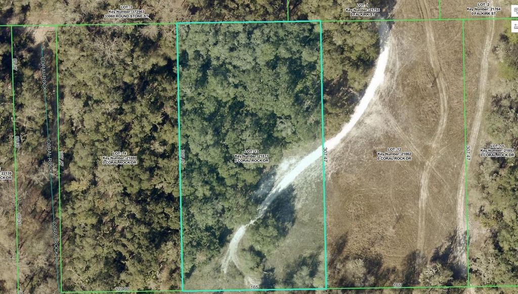 33099 CORAL ROCK DRIVE, Webster, FL 33597
