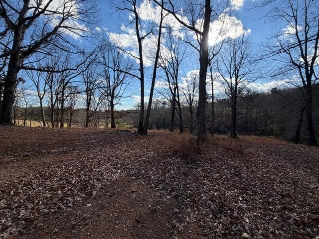 5779 Alean RD, Boones Mill, VA 24065