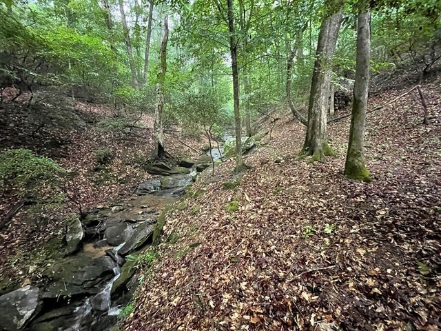 64 Kristin Lane, Ellijay, GA 30540