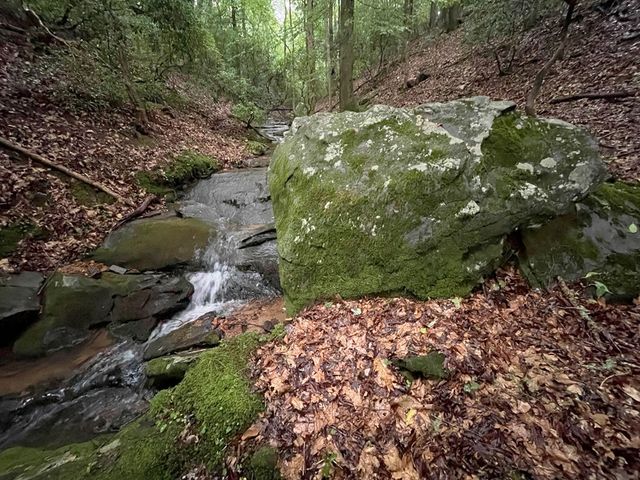 64 Kristin Lane, Ellijay, GA 30540