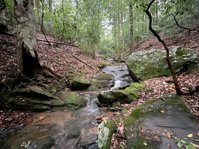 64 Kristin Lane, Ellijay, GA 30540