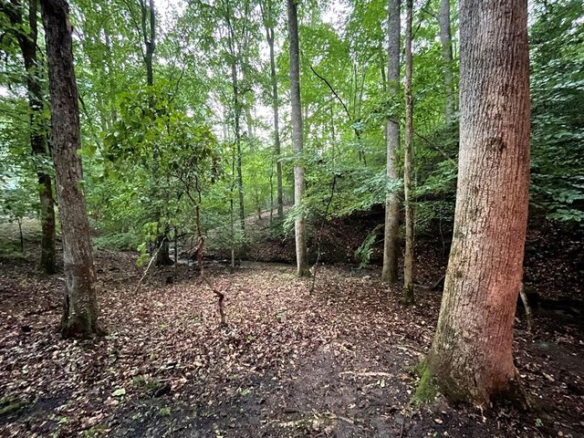 64 Kristin Lane, Ellijay, GA 30540