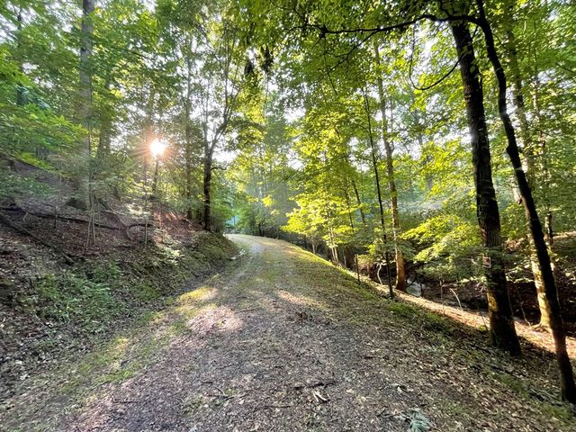 64 Kristin Lane, Ellijay, GA 30540