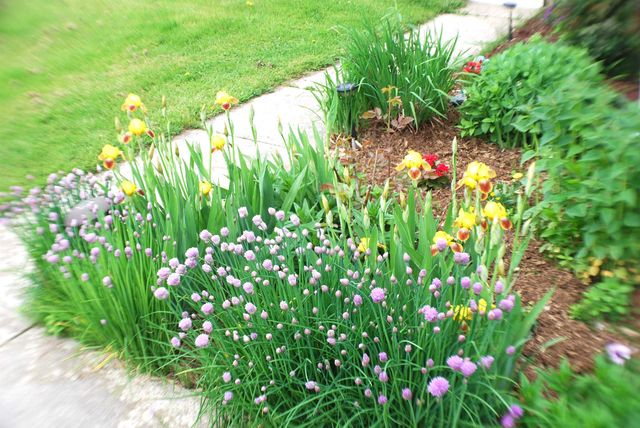 190 Decker Road, Georgia, VT 05468