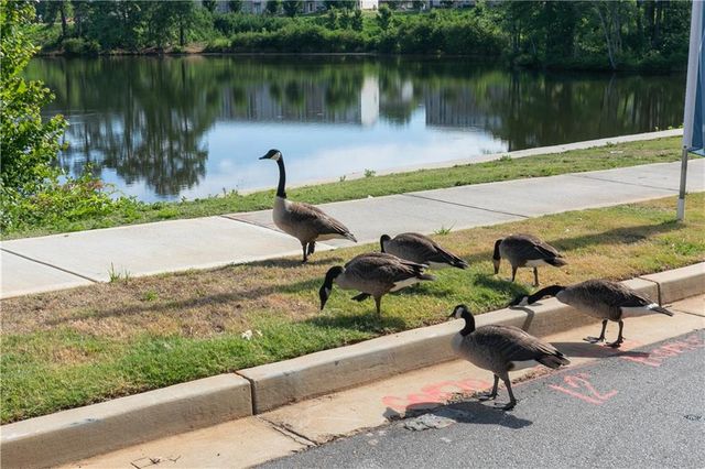 333 Brighton Bend Lane, Acworth, GA 30102