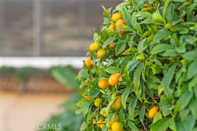 27665 Bottle Brush Wy, Murrieta, CA 92562