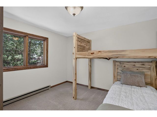 9269 William Cody Dr, Evergreen, CO 80439