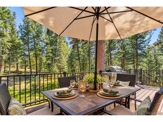9269 William Cody Dr, Evergreen, CO 80439