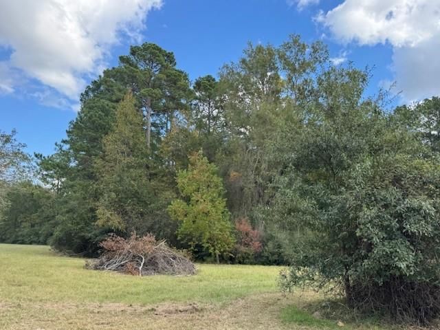 9 Morningside, Trinity, TX 75862