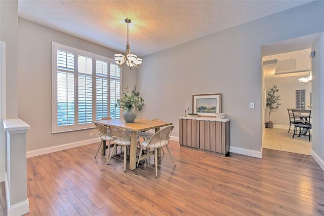 3928 NORTHRIDGE DRIVE, Valrico, FL 33596