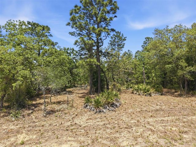 Lot 10 CAGARRO ROAD, Weeki Wachee, FL 34614