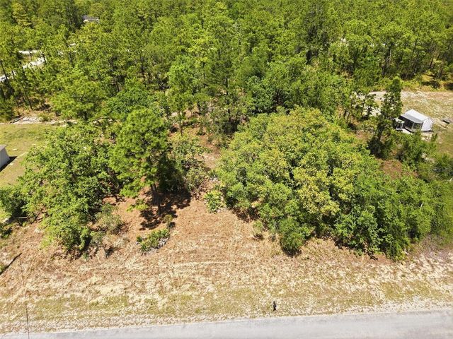 Lot 10 CAGARRO ROAD, Weeki Wachee, FL 34614
