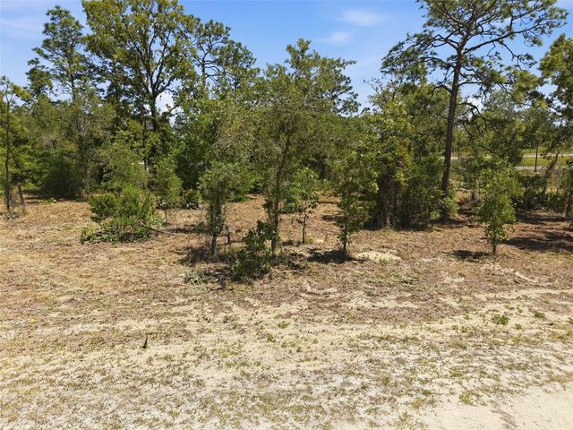 Lot 10 CAGARRO ROAD, Weeki Wachee, FL 34614