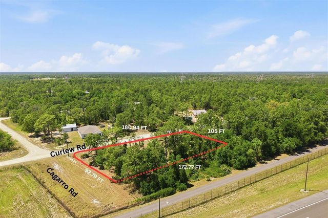 Lot 10 CAGARRO ROAD, Weeki Wachee, FL 34614