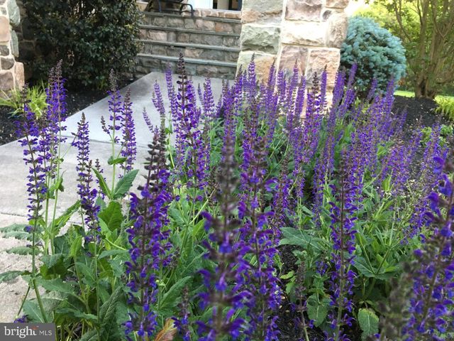 9322 FALLING WATER DR, Bristow, VA 20136