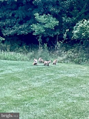 9322 FALLING WATER DR, Bristow, VA 20136