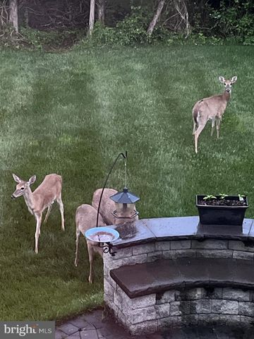 9322 FALLING WATER DR, Bristow, VA 20136