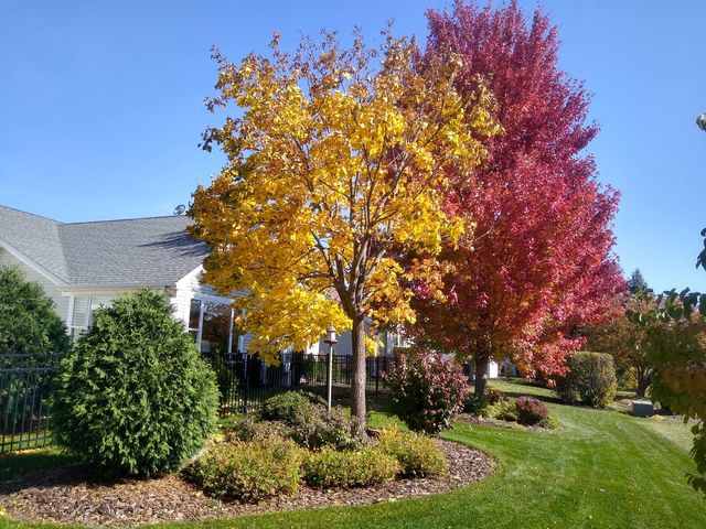 13189 W Essex Lane, Huntley, IL 60142