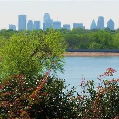 416 Mount Auburn Avenue, Dallas, TX 75223