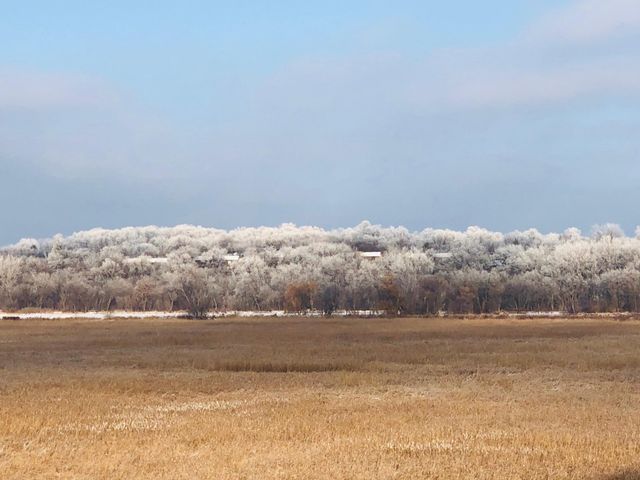 11472 Mount Curve Road, Eden Prairie, MN 55347