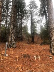 0 Loma, Running Springs, CA 92382