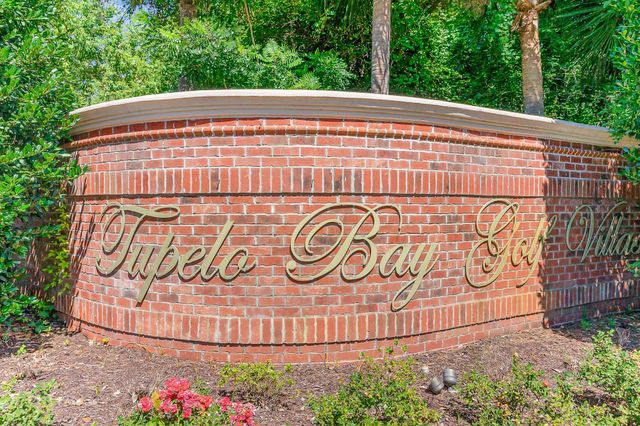 1008 Ray Costin Way Unit 313, Murrells Inlet, SC 29576
