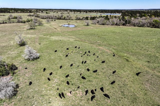 784 Acres Round Prairie Road, Huntsville, TX 77320