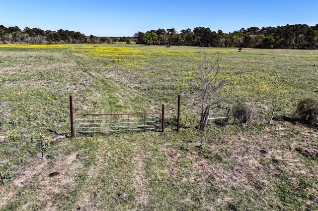 784 Acres Round Prairie Road, Huntsville, TX 77320