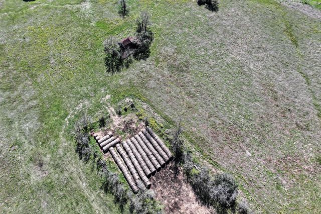 784 Acres Round Prairie Road, Huntsville, TX 77320