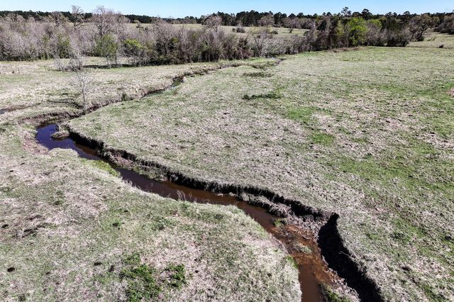 784 Acres Round Prairie Road, Huntsville, TX 77320