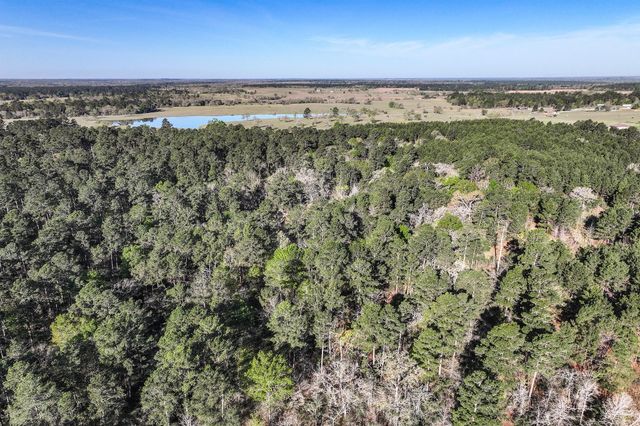 784 Acres Round Prairie Road, Huntsville, TX 77320