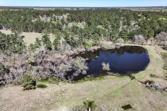 784 Acres Round Prairie Road, Huntsville, TX 77320