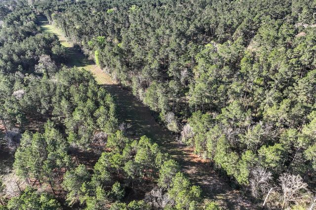 784 Acres Round Prairie Road, Huntsville, TX 77320