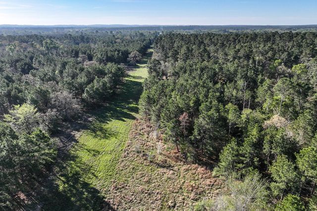 784 Acres Round Prairie Road, Huntsville, TX 77320