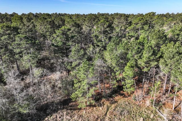 784 Acres Round Prairie Road, Huntsville, TX 77320